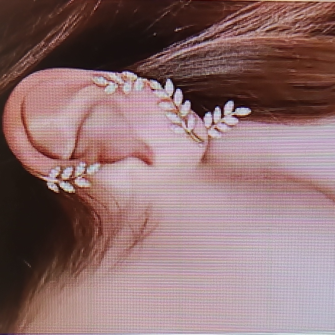 Laurel Leaf Ear Cuff